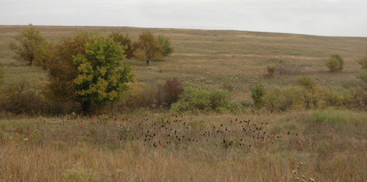 Oliver Ranch, Eureka Kansas